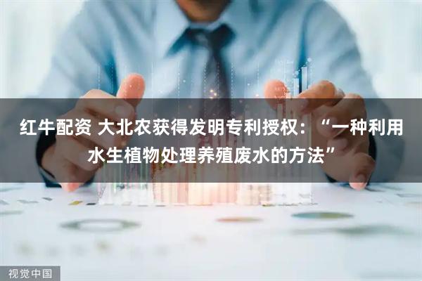 红牛配资 大北农获得发明专利授权：“一种利用水生植物处理养殖废水的方法”