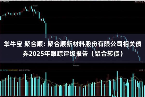 掌牛宝 聚合顺: 聚合顺新材料股份有限公司相关债券2025年跟踪评级报告（聚合转债）