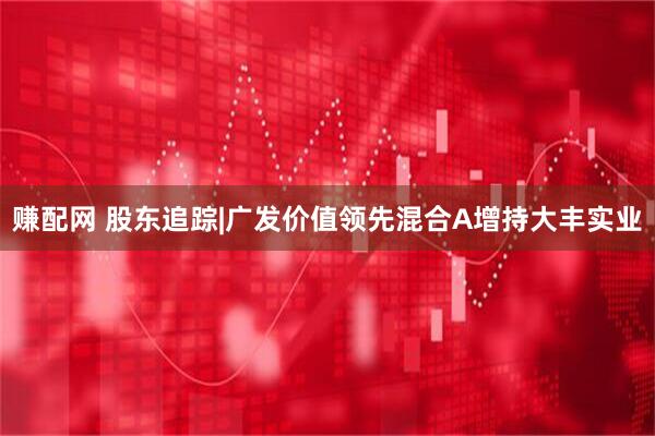 赚配网 股东追踪|广发价值领先混合A增持大丰实业
